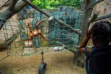 Libur Panjang Akhir Pekan, Ragunan Dipadati Pengunjung