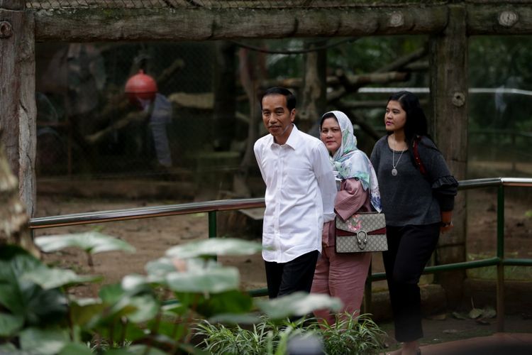 Presiden Republik Indonesia, Joko Widodo beserta istri serta dua anaknya berlibur ke Kebun Binatang Ragunan, Jakarta, Kamis (29/6/2017). Dalam liburannya ini Joko Widodo dan keluarga terlihat menyambangi Pusat Primata Schmutzer. KOMPAS IMAGES/KRISTIANTO PURNOMO