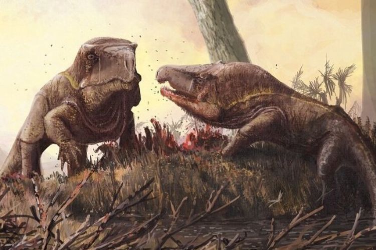 Erythrosuchids hidup pada masa akhir Permo-Triassic. Panjang tubuhnya mencapai 3-5 meter, memiliki empat kaki, dengan satu fitur tidak biasa yakni kepala berukuran lebih besar dari badannya.