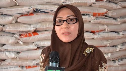 Bakal Cawagub Jambi Mendadak Mundur dari Pencalonan Sehari Jelang Pendaftaran