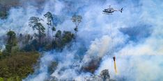 Water Bombing Jadi Cara Efektif Padamkan Kebakaran Pegunungan Ijen