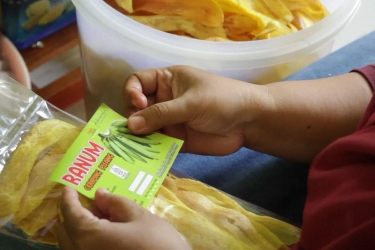 Berkat tambahan modal dari koperasi mitra LPDB-KUMKM, Patmini bisa mempekerjakan tenaga kerja untuk membantu produksi, penjualan, dan pengemasan produk keripik pisangnya.