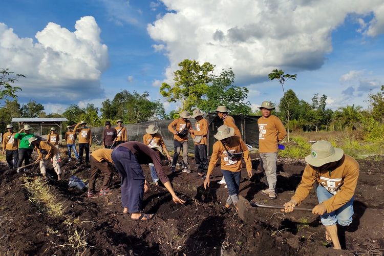 Kader SLPG mempraktikkan teori pelatihan pada lahan mini demplot di Kalimantan Tengah 