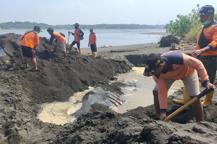 Bangkai hiu paus dikubur di pasir pada pinggir muara sungai Bogowonto yang masuk wilayah Pantai Congot, Kapanewon Temon, Kabupaten Kulon Progo, Daerah Istimewa Yogyakarta.