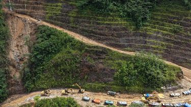 Jaga Hutan Terakhir, Gubernur Se-Papua Kolaborasi Pembangunan Berkelanjutan