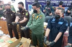 2 Anggota TNI dan 1 Polisi Diduga Terlibat Perdagangan Sisik Trenggiling di Sumut