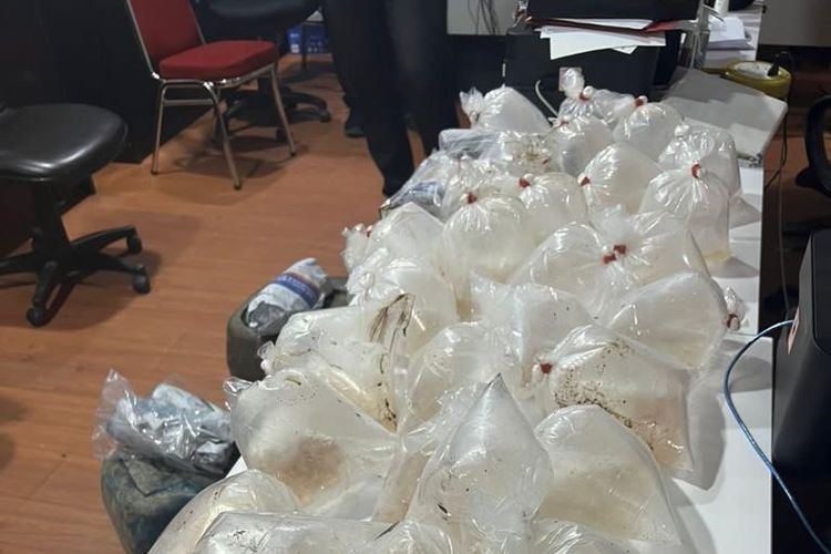 5.500 ekor benih lobster atau benur yang dibawa dari Kuala Tungkal, Jambi berhasi digagalkan Direktorat Reserse Kriminal Khusus (Ditreskrimsus) Polda Kepri saat akan diselundupkan ke Singapura.
