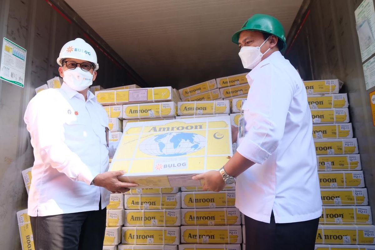 Bulog pastikan daging kerbau impor dari India bebas wabah PMK. 