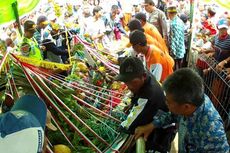 Petik Laut, Cara Nelayan Muncar Ucapkan Syukur