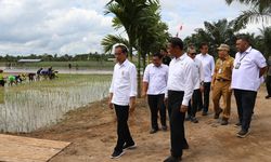 Bersama Mentan Amran, Presiden Jokowi Lakukan Peninjauan Program Pompanisasi di Kotawaringin Timur