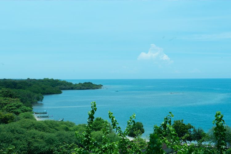Salah satu pantai di Taman Nasional Baluran.