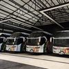 safari dharma raya luxury bus