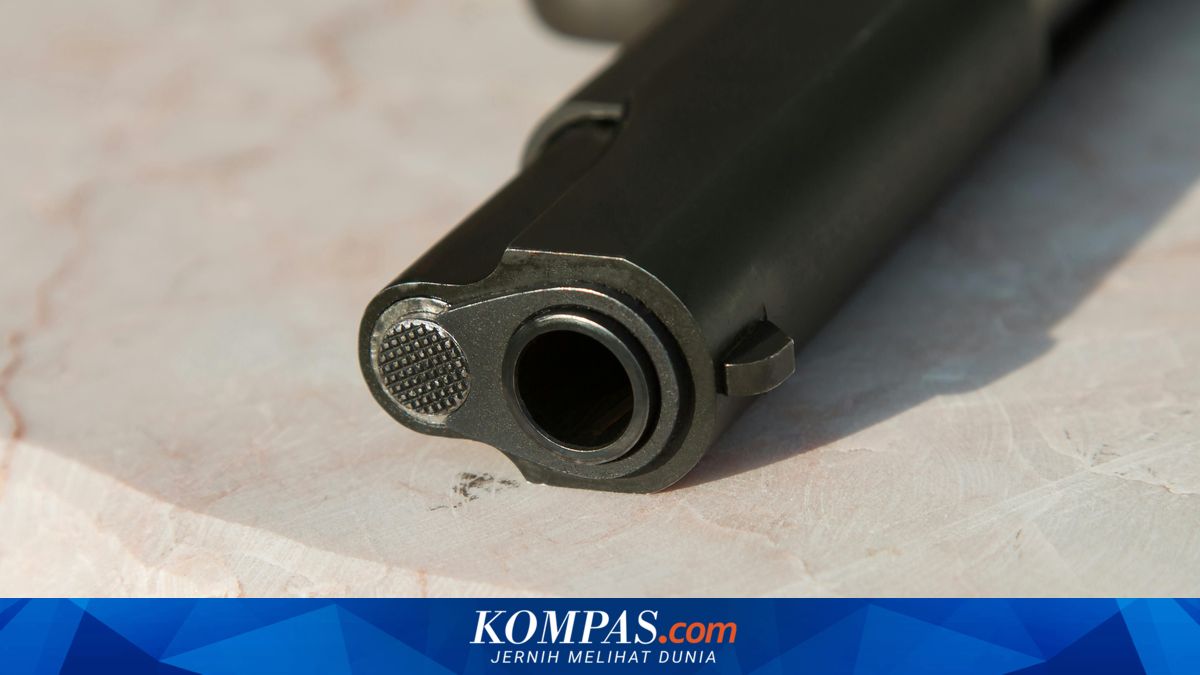 Jual Senjata Angin via WhatsApp, Pria di Tanjung Priok Ditangkap