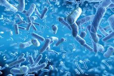 Fenomena Superbug di India Bisa Jadi Pandemi? Ini Kata Epidemiolog
