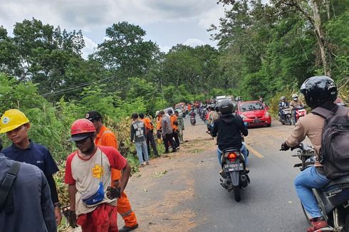 Ada Pemotongan Pohon di Hutan Tleseh, Arus Lalu Lintas Jalan Yogyakarta-Wonosari Sempat Buka Tutup