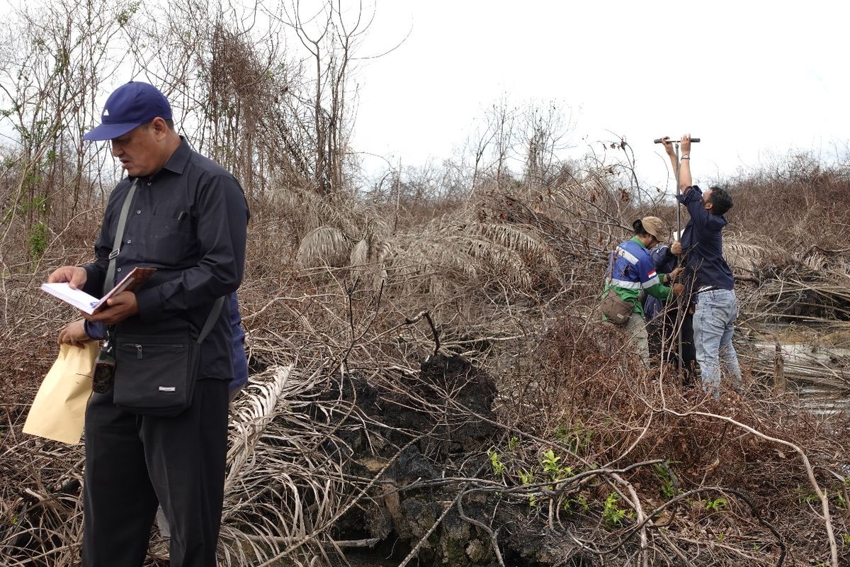 Kebakaran lahan sawit menyebabkan rusaknya lahan di Sumsel. 