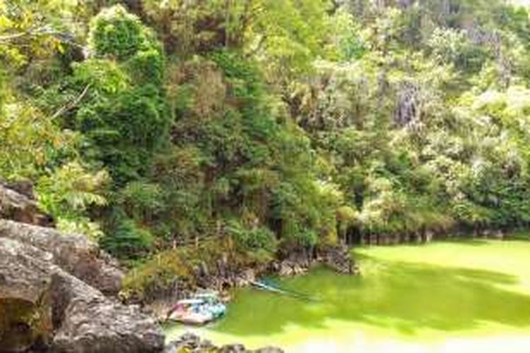 Pemandangan Kolam Alam Limbong di Toraja