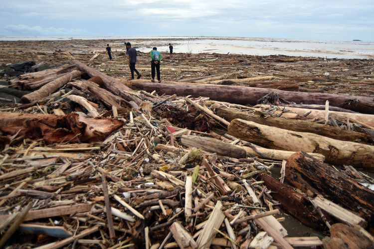 Sejumlah warga berjalan di antara potongan kayu gelondongan yang bertumpuk di pantai Air Tawar, Padang, Sumatera Barat, Jumat (28/11/2025). Sampah kayu gelondongan itu menumpuk di sepanjang pantai Padang pasca banjir bandang beberapa hari terakhir.  ANTARA FOTO/Iggoy el Fitra/YU