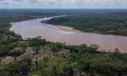 Kabar Baik, Deforestasi di Amazon Kolombia Turun 36 Persen