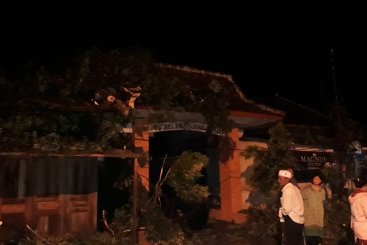 Beberapa fasum dan rumah warha rusak akibat tertimpa pohon tumbang disertai hujan lebat.