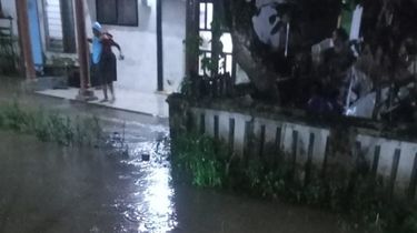 Banjir Kembali Kepung Jember, Hujan Deras Berjam-jam Sebabkan Sungai Meluber