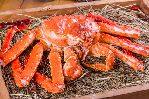 4 Fakta Alaskan King Crab, Kepiting Raksasa yang Harganya Mahal