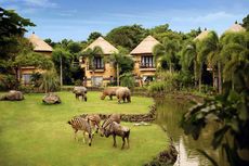 Mara River Safari Lodge, Sensasi Unik Menginap dengan Suasana Afrika