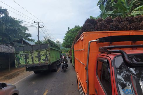 Jalur Lintas Barat Seluma Bengkulu Macet akibat Antrean Truk Sawit di Badan Jalan, Pemudik Diminta Waspada