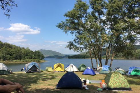 Ranu Regulo Lumajang, Tempat Camping dengan Panorama Danau dan Hutan