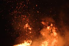 Toko di Surabaya Dilalap Api Usai Pemilik Bakar Sarang Tawon