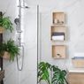 Simak, 3 Manfaat Meletakkan Tanaman di Kamar Mandi