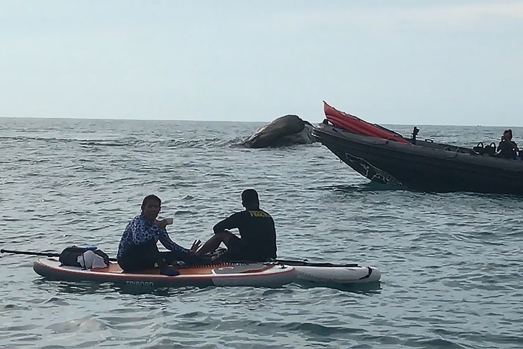 Menteri Kelautan dan Perikanan Susi Pudjiastuti saat beristirahat usai melakukan paddling di perairan Ranai, Natuna, Sabtu (28/10/2017). Di sela-sela kunjungan kerja dan memimpin penenggelaman kapal di Natuna, Menteri Susi melakukan piknik mendadak di Pantai Sindu, salah satu pantai berbatu raksasa di Pulau Ranai.