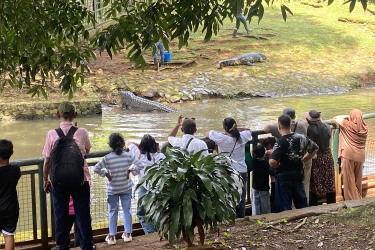 Kebun Binatang Ragunan Buka Lagi, Ini Harga Tiket dan Jam Bukanya