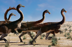 Seperti Apa Dinosaurus Tercepat yang Pernah Hidup di Bumi?