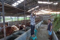 Desa di Semarang Ini Gunakan Biogas untuk Penerangan, Hemat Pengeluaran