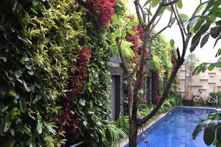 Vertical garden menyegarkan area kolam renang, karya Aditya Wijaya
