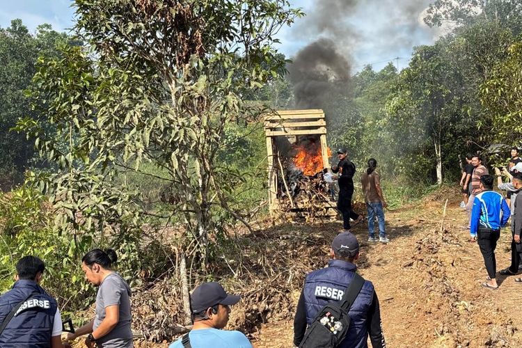 Polisi Gerebek Tambang Emas Ilegal di Solok, Pondok dan Alat Dibakar