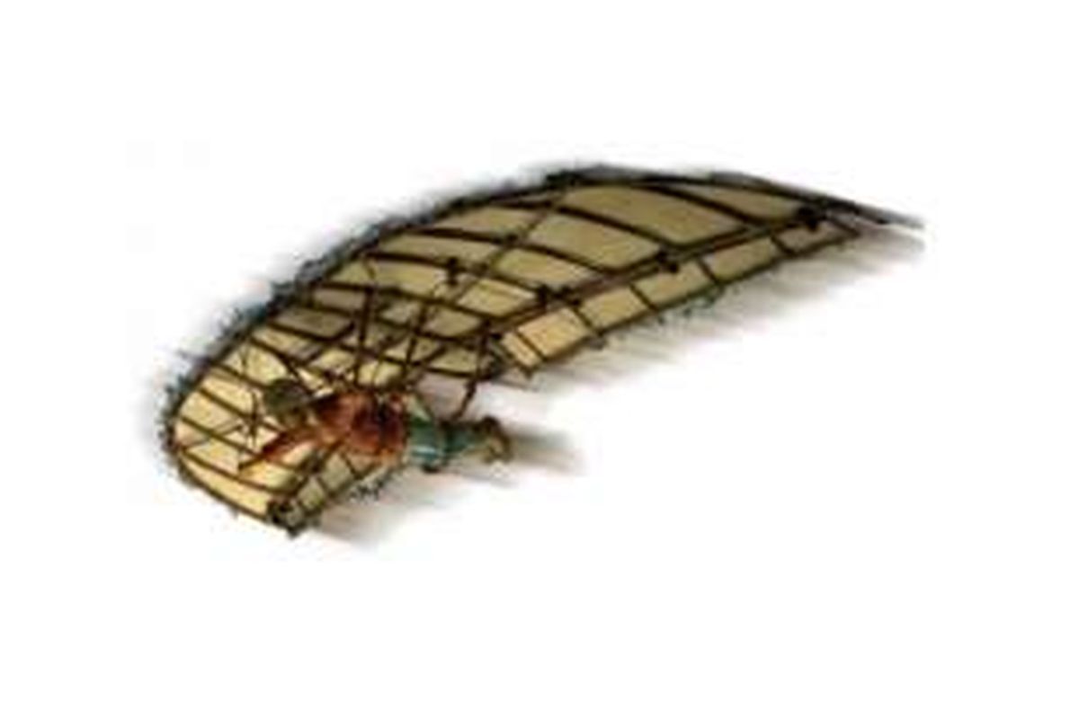 Abbas Ibn Firnas tercatat sebagai manusia pertama yang bisa terbang. 