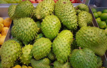 4 Efek Samping Makan Buah Sirsak Setiap Hari, Apa Saja?