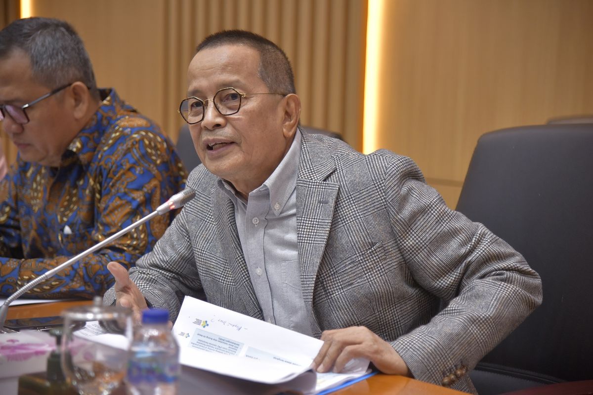 Anggota Komisi IX DPR RI Darul Siska. 
