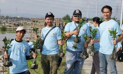 Tata Kelola Mangrove Perlu Terintegrasi dengan Tambak