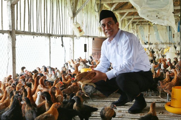 Menteri Pertanian (Mentan) Andi Amran Sulaiman mengajak lebih banyak generasi muda untuk berwirausaha di sektor pertanian. 
