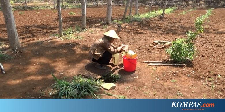 Mengais Air dari Lubang Bocoran Pipa PDAM...