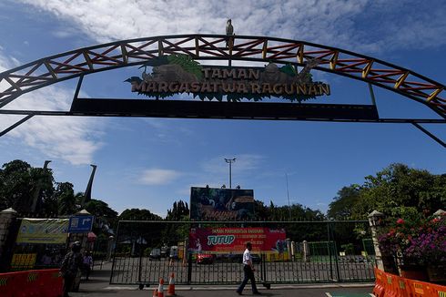 Ragunan Dibuka Hari ini, Aturan Kendaraan Ganjil Genap Berlaku