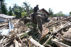 Saat 4 Gajah Perkasa Bantu Evakuasi dan 'Trauma Healing' Korban Banjir Pidie Jaya Aceh