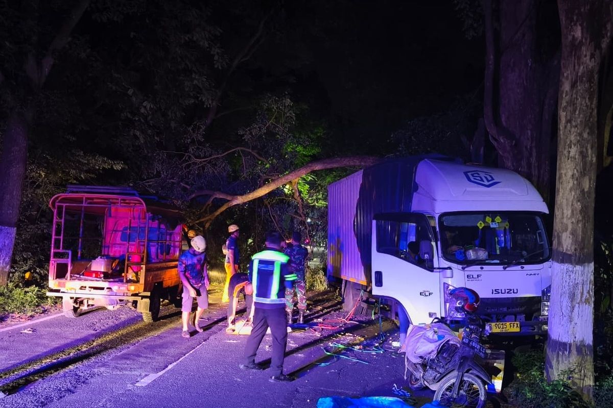 Sebuah pohon sono keeling di Raya Magetan–Maospati, tepatnya di wilayah Desa Bibis, Kecamatan Sukomoro, Kabupaten Magetan ditabrok truk box hingga roboh yang menyebabka seorang pengendara motor mengalami kecelakaan. Pengendara mengalami luka luka.