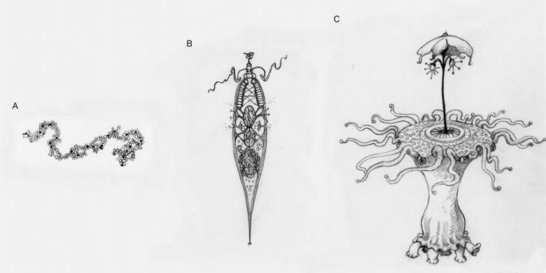 Sketsa jalur evolusioner di lingkungan alien