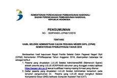 9.177 Pelamar Lolos Seleksi Administrasi CPNS 2019 di Kementerian PPN/Bappenas, Ini Link Pengumumannya