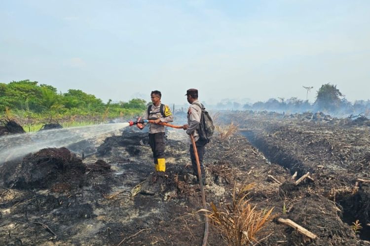 Karhutla di Rohil Riau Bakar 5 Hektare Lahan Gambut, Api Kembali Menyala Usai Dipadamkan