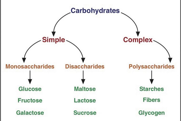 Jenis karbohidrat monosakarida, disakarida, dan polisakarida
